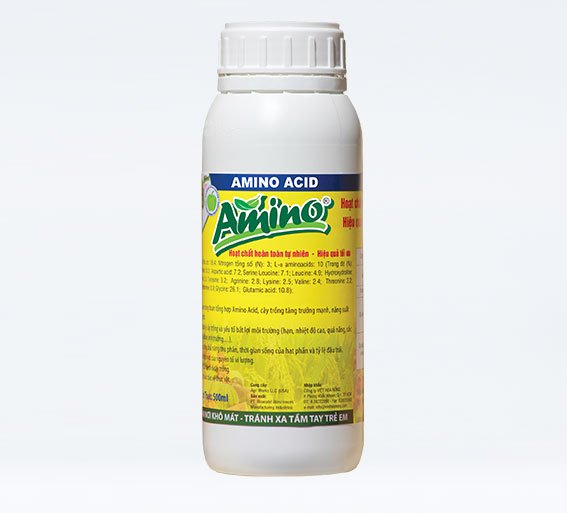 Amino Acid